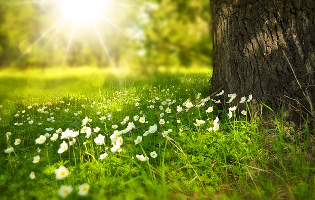 3 redenen waarom de zomer het beste seizoen is